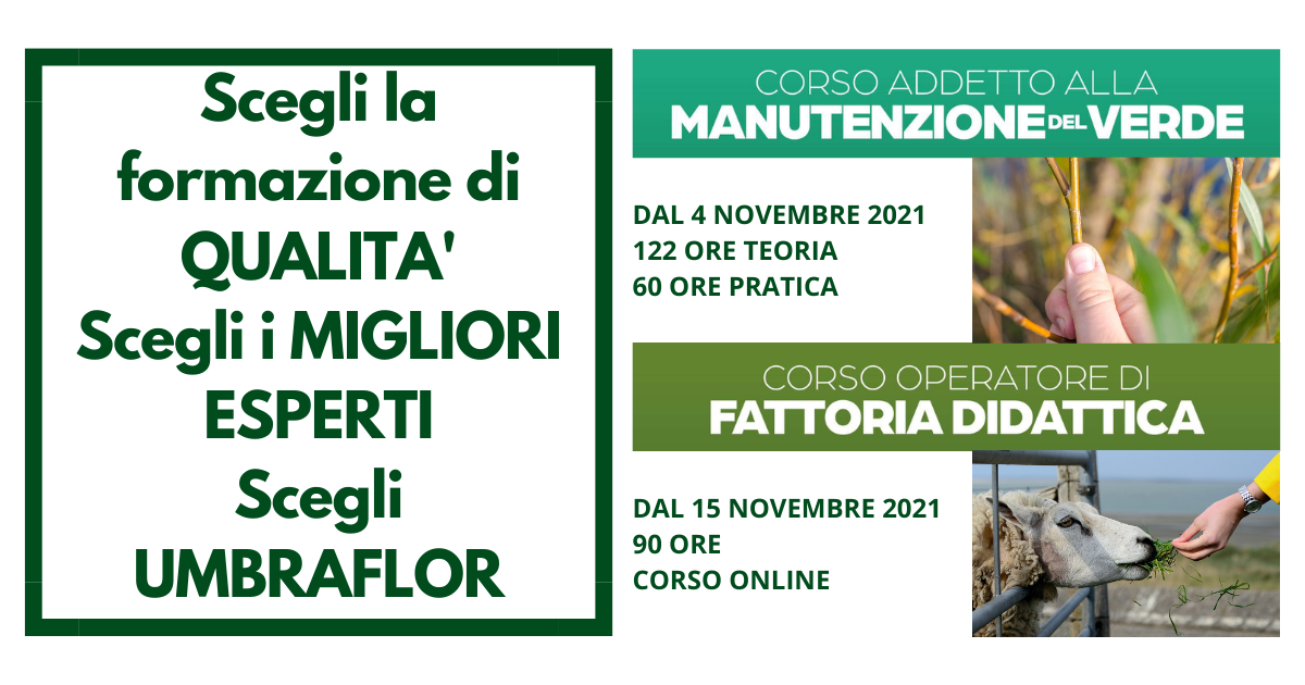 umbraflor_formazione